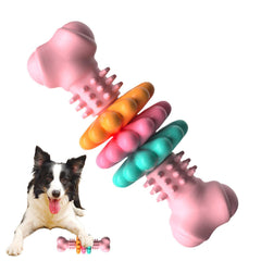 Dog Chew Toy